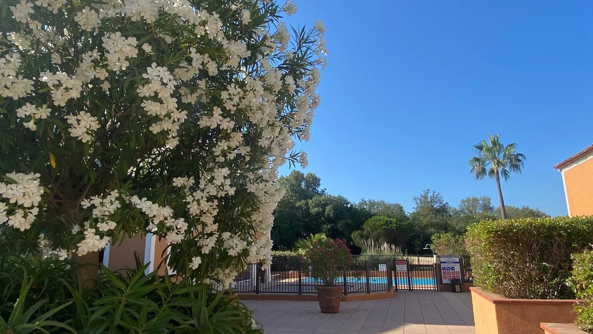 Apartment 2 Bedrooms, 15 Min Walk To Beach, Ac, Pool & Fiber Internet In A Quiet, Private Gated Domain 5Kms To St Tropez Cogolin